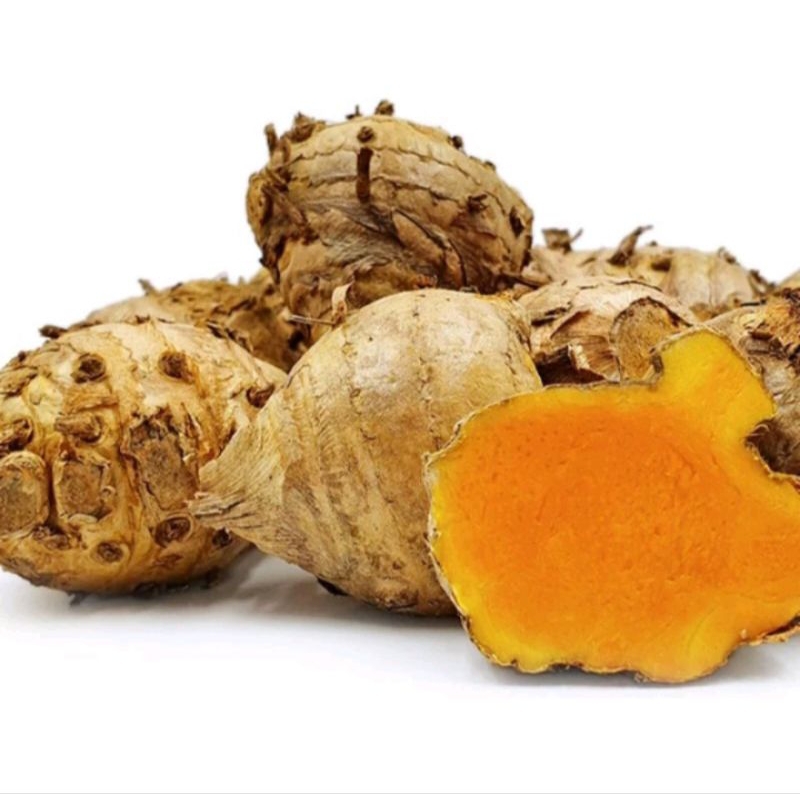

Temu Lawak Segar Asli 1kg