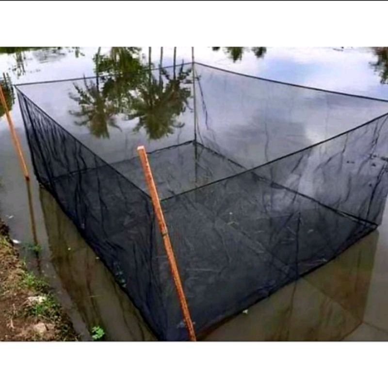 Keramba ikan pembesaran 2x3x1