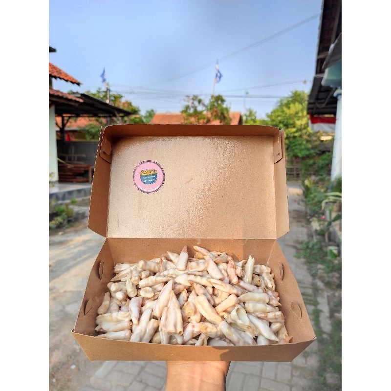 

MELTED BANANA CHIPS DAN PANGSIT CRISPY /BOXS