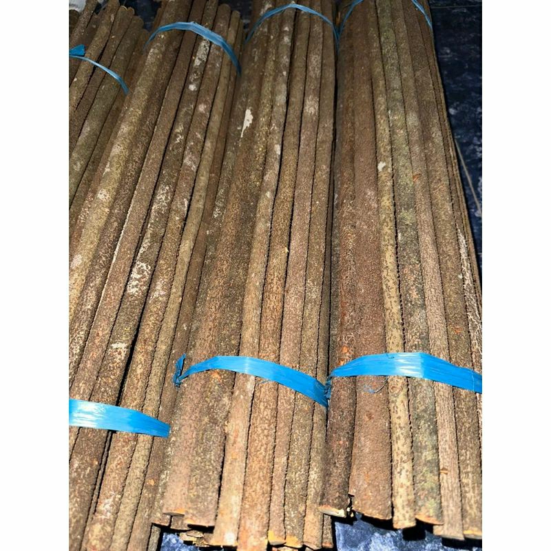 TANGKRINGAN ASEM BALI SERAT PASIR KUALITAS GRADE A SUPER