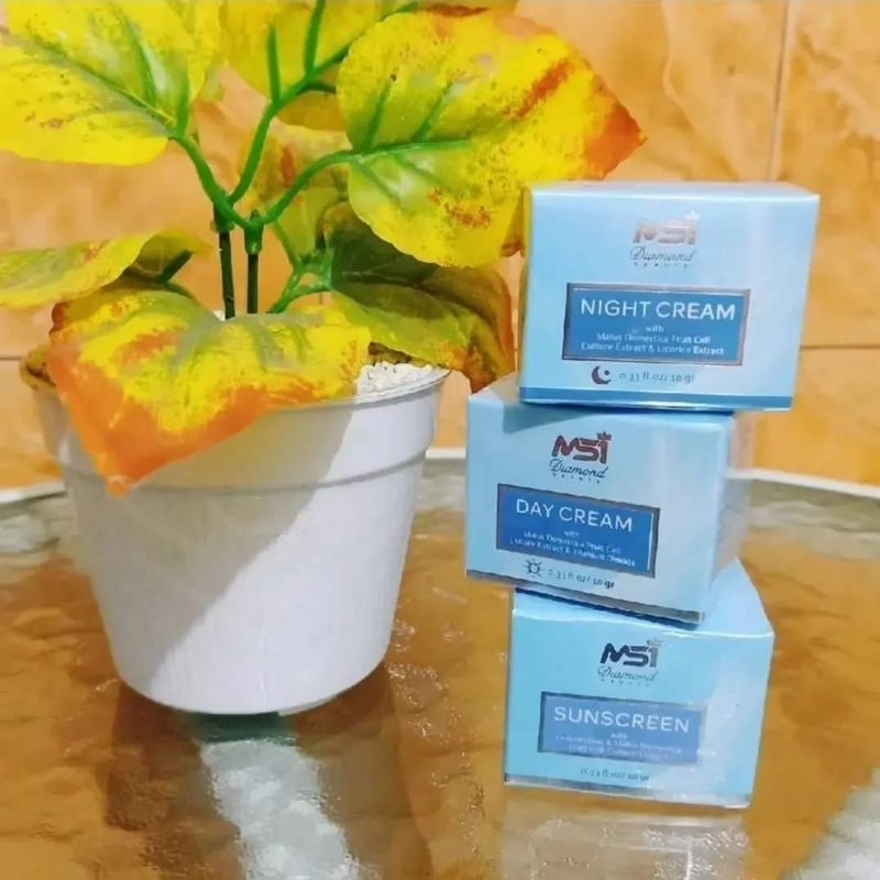 CREAM SIANG MALAM SUNSCREEN MSI ecer