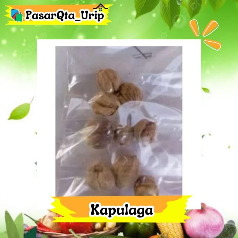 

kapulaga / Pasar online makassar