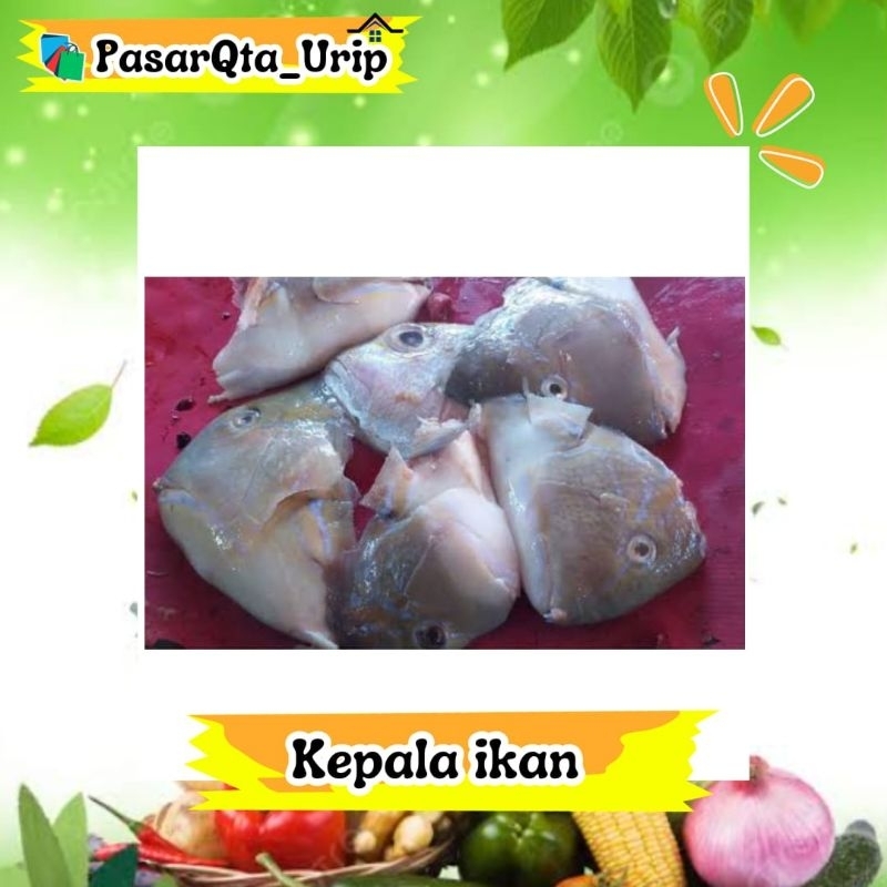 

Kepala ikan perkilo / Pasar ikan makassar/ pasar online makassar