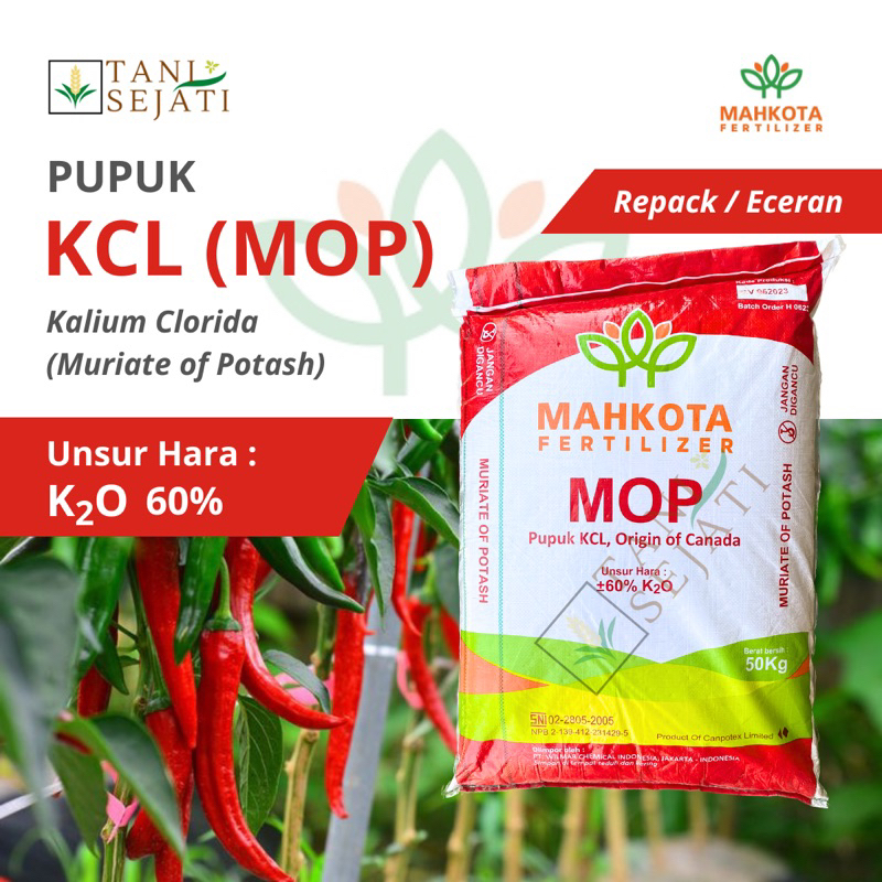 Repack (Eceran 1 kg) Pupuk KCL Kanada | KCL Mahkota | Pupuk Cabai Tembakau Cabe Tomat Padi Kedelai K