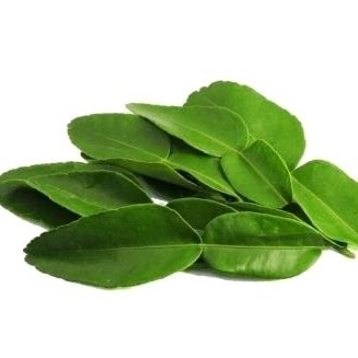 

daun jeruk perpack