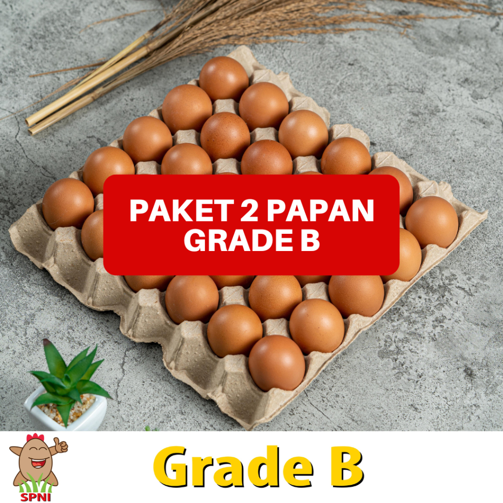 

Telur Ayam SPNI Besar (Grade B 60 Butir) PAKET 2 PAPAN