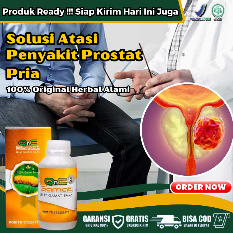 Obat Prostat Herbal Cina, Obat Prostatitis, Obat Prostat Kencing Sakit, Kencing Manis, Obat Batu Gin