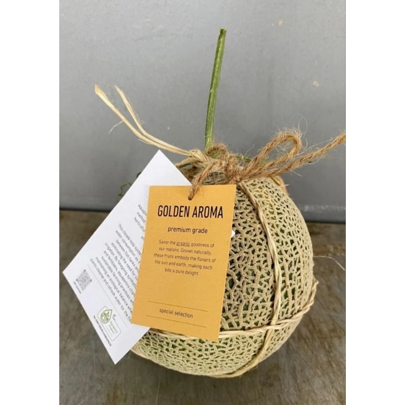 

Melon Aroma BSP FARM