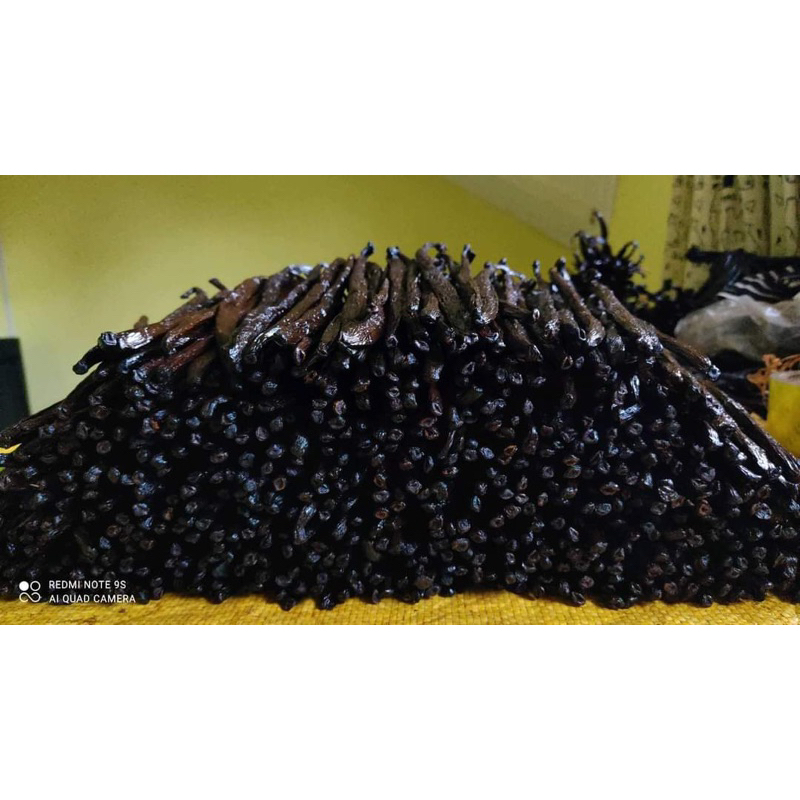 

VANILLA BEAN PREMIUM QUALITY tahiti dan planifolia Bourbon 1 kg