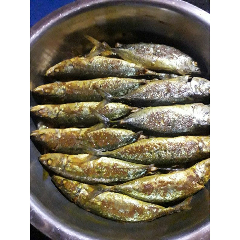 

(Khusus Area Makassar Pengiriman Instant) Rumah Ikan Joogis - Ikan Pallu ce'la/Pallu Esa'/isi 3 ekor