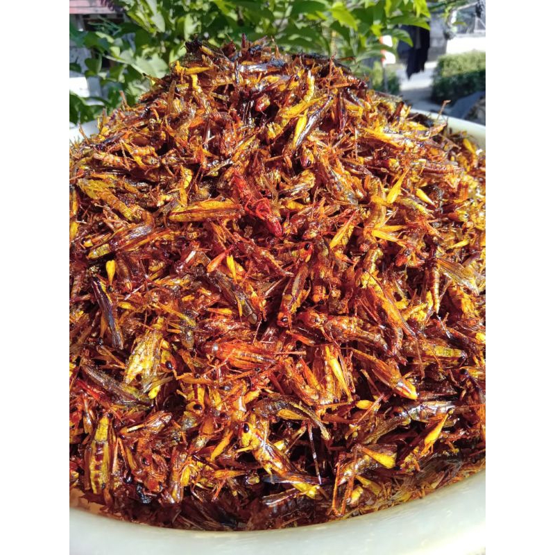 

walanguteswalangpadi