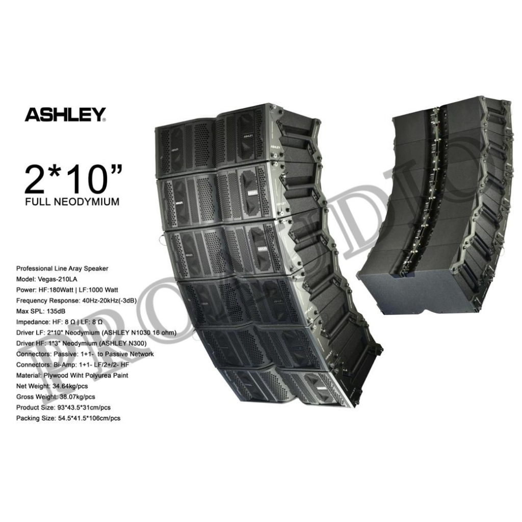 SPEAKER LINE ARRAY ASHLEY VEGAS 210LA VEGAS 210 LA 2 x 10 INCH