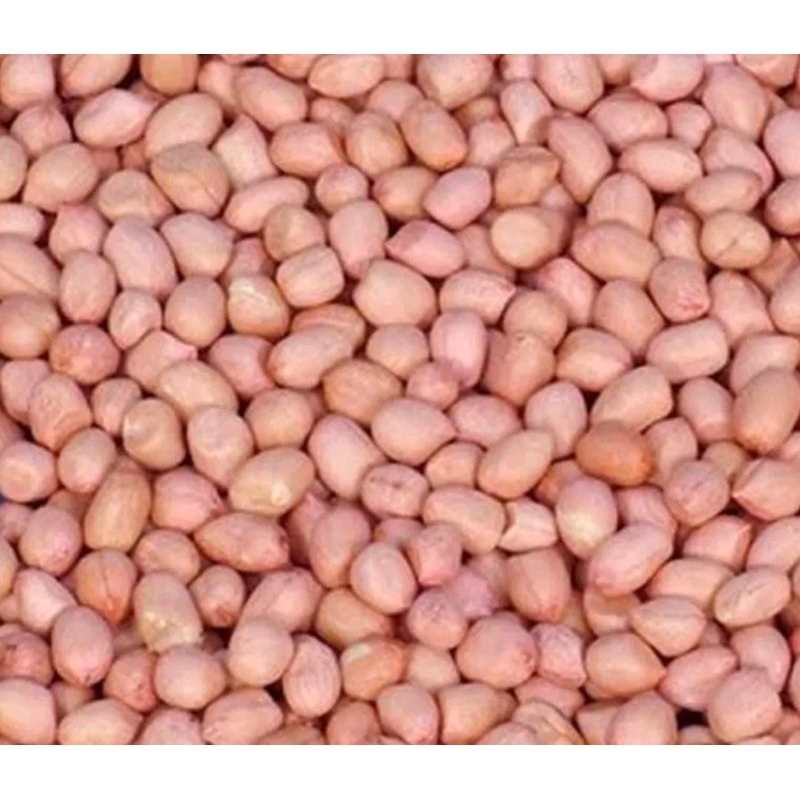

Kacang Tanah Kupas/Kacang Tanah Kulit