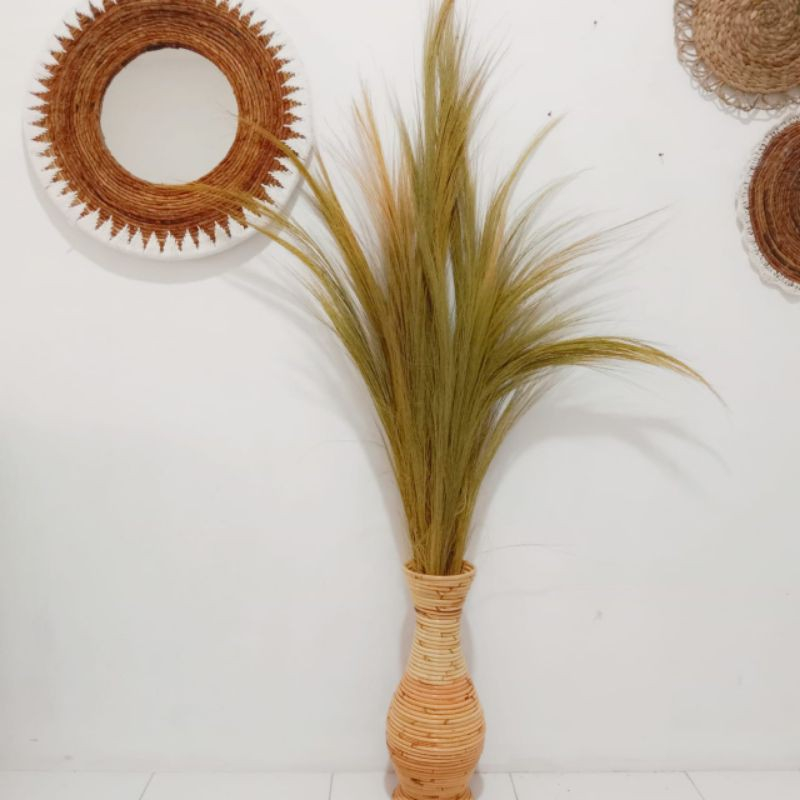 Rayung/ Dried Pampas Grass lokal tanpa bulu/ Bunga kering/ Dekorasi Rustic Aesthetic Grosir