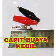 capit buaya kecil