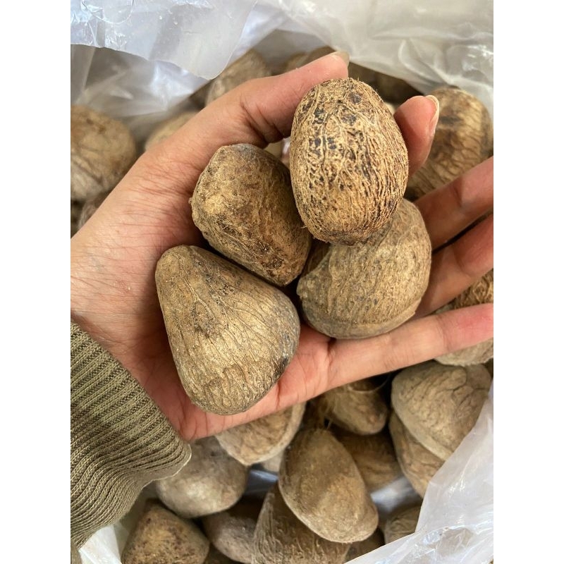 

Keluwak | Biji keluwak Asli