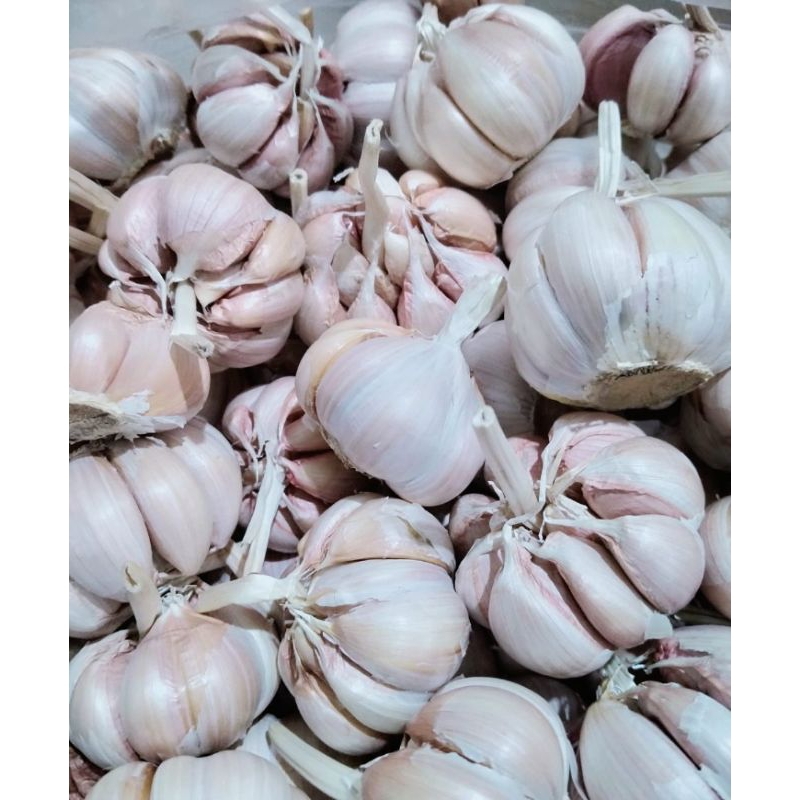 

Bawang Putih ½kg