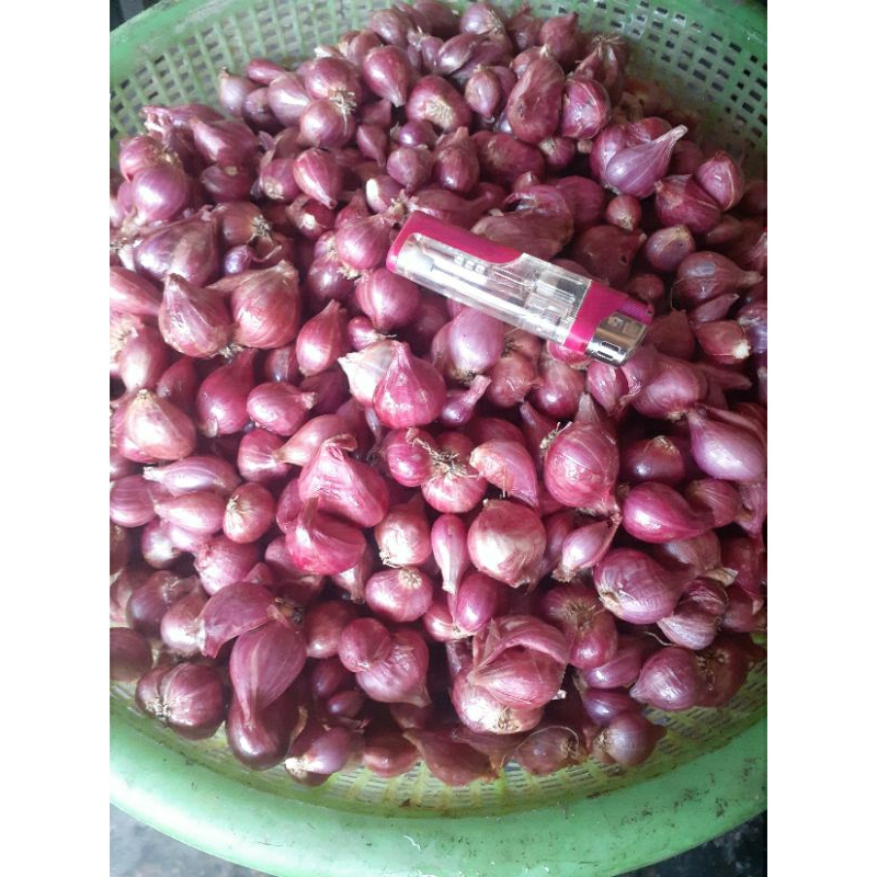 

bawang merah 1kg