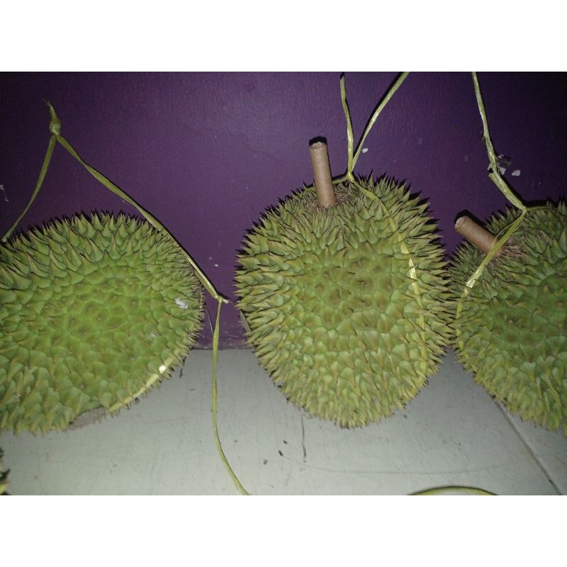 

durian