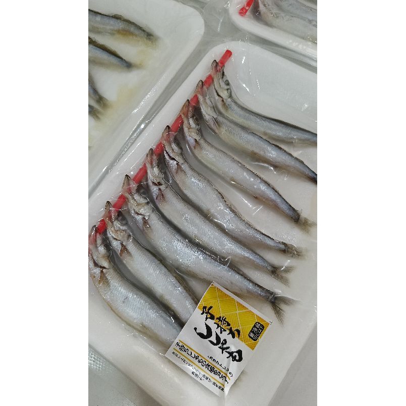 Ikan Shisamo Tray Full Telur