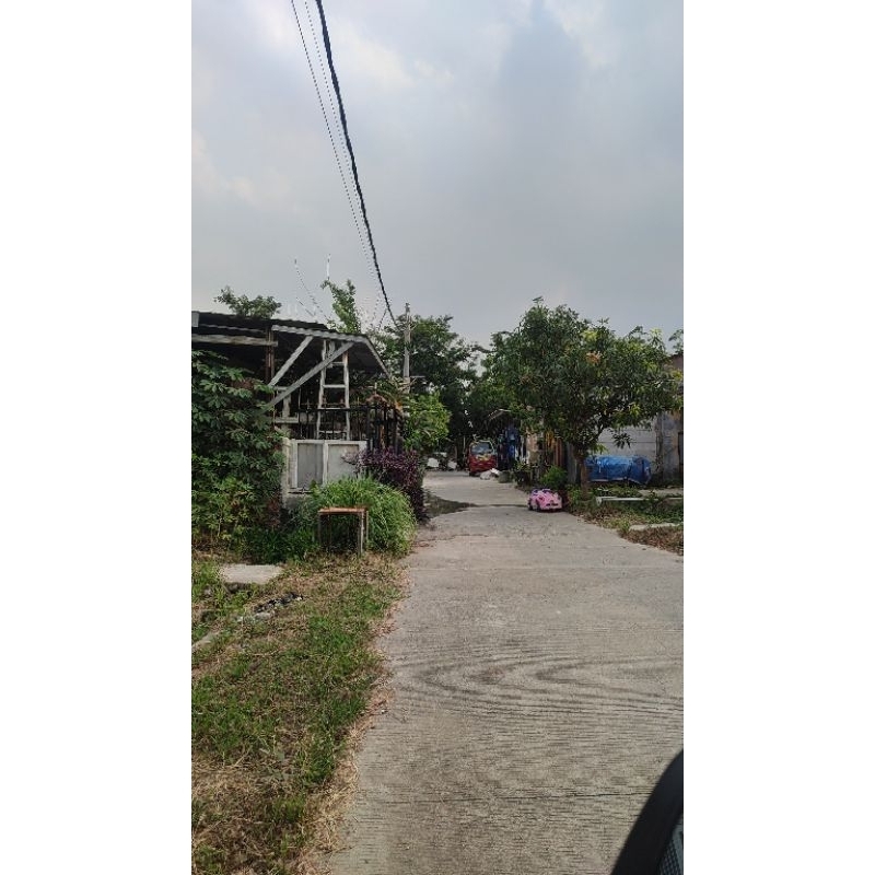 wig kurokawa izana + anting