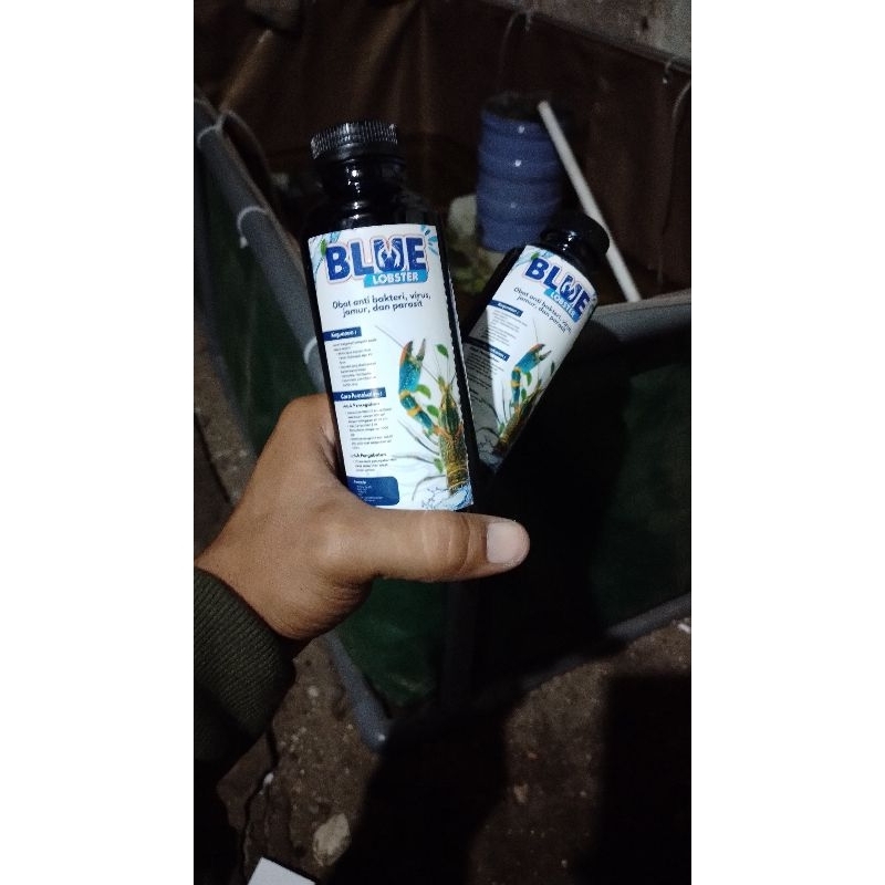 Blue lobster/Obat lobster air tawar terbaik