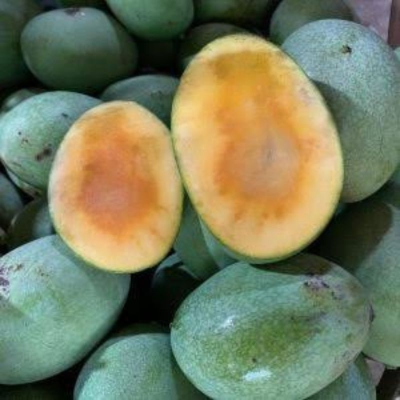 

MANGGA MANALAGI 1KG SURABAYA BEST SELLER