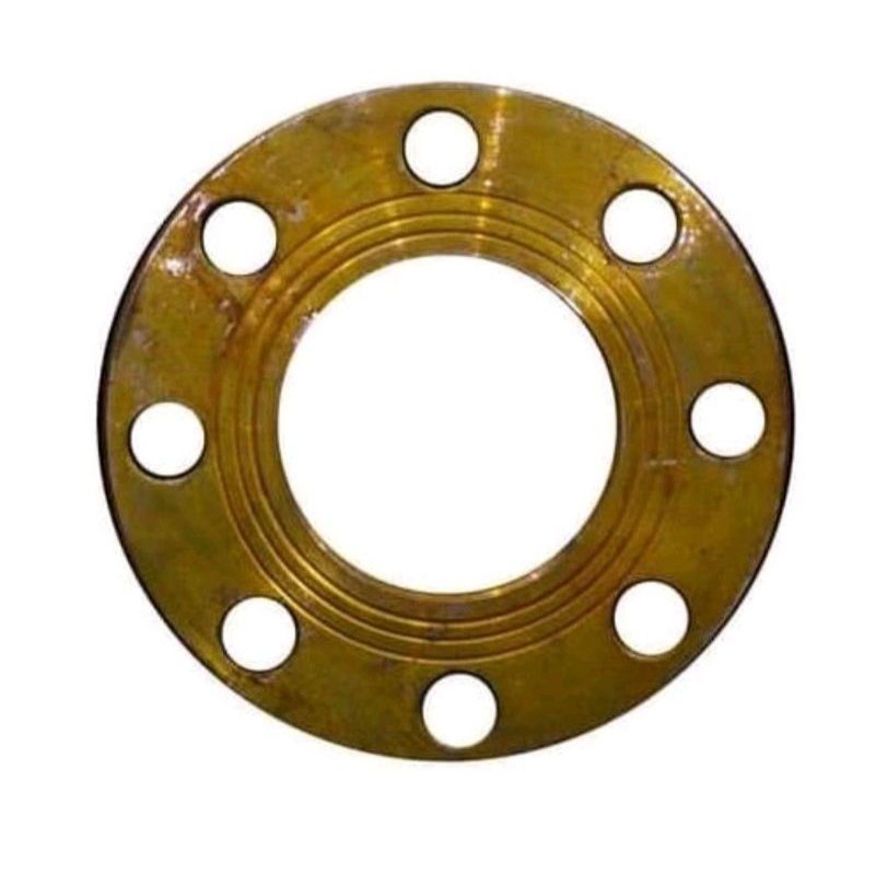 Flange Jis 10K 4 Inch