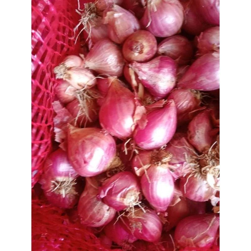 

Bawang Merah Lokal 1kg