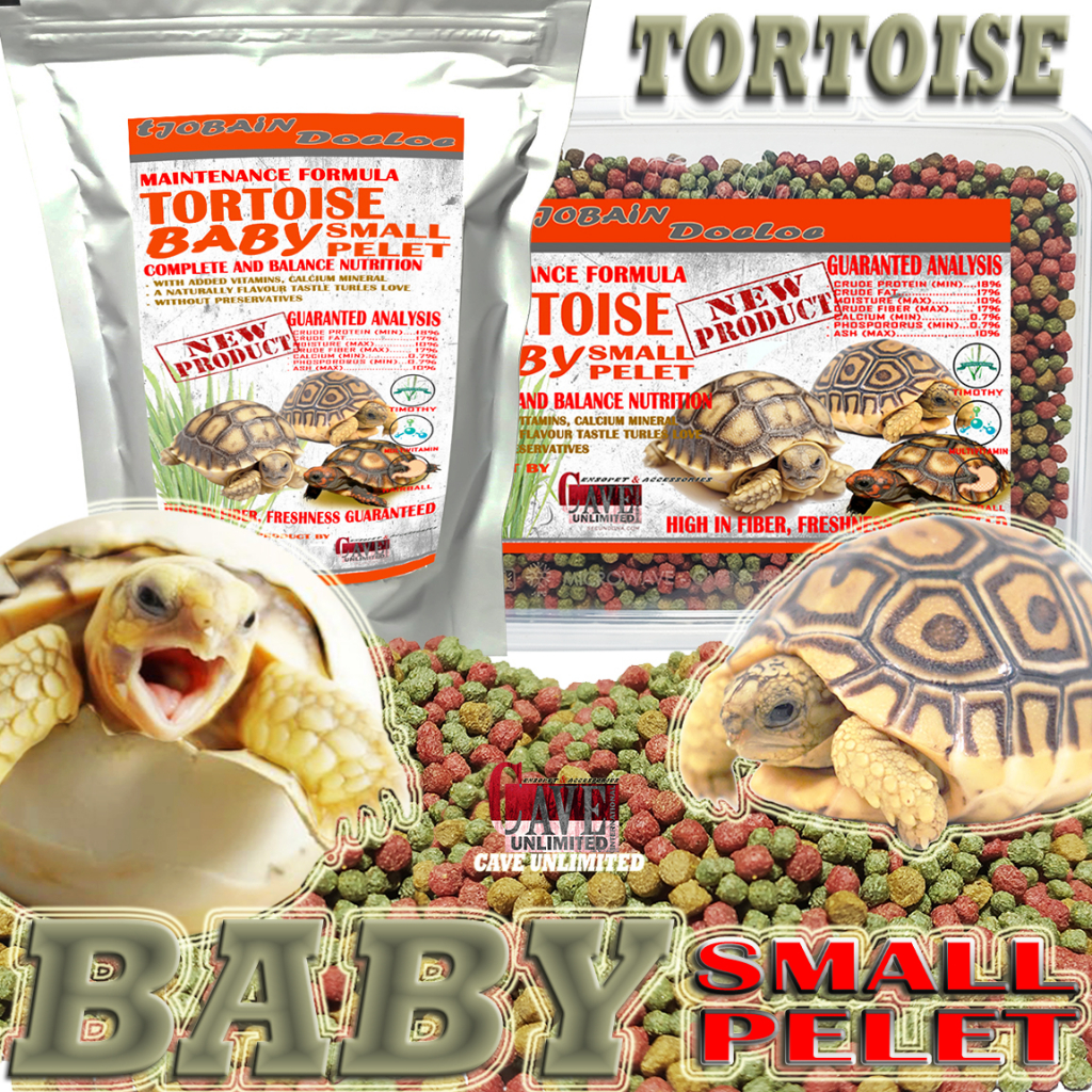 MAKANAN PELET BABY SULCATA KURA KURA DARAT BULAT BALL PELLETS TORTO TORTOISE FOOD MURAH BERGIZI TING