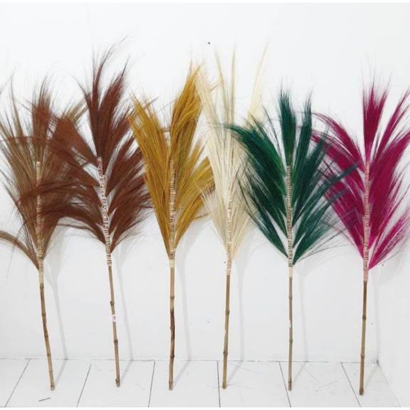 RAYUNG 13 JARI Home Decor Rayung Kering Rayung Panjang Rayung Natural Rayung Rustic Dekorasi Rustic 