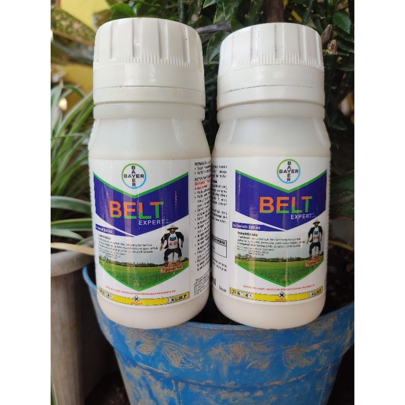 insektisida BELT EXPERT 480 SC 250 ML