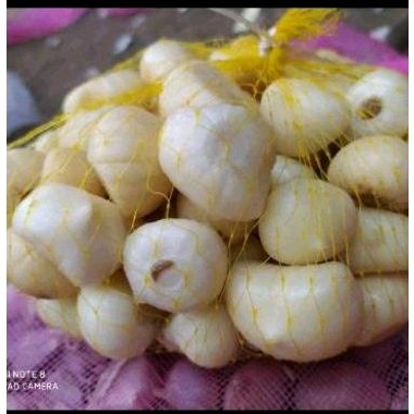 

Bawang Putih Tunggal Kupas 1 KG - Bawang Lanang Kupas 1 KG - Ukuran Kupas Variasi