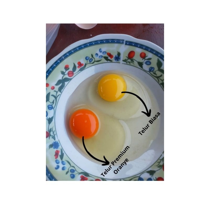 

Telur omega