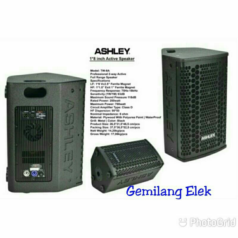 SPEAKER AKTIF ASHLEY TW 8A ( 8 INCH) ORIGINAL