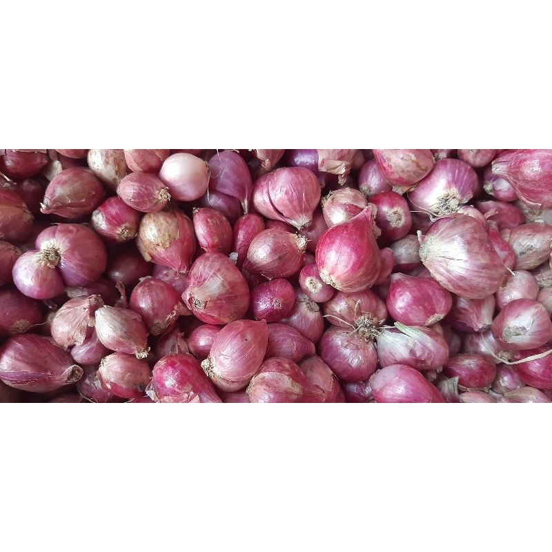 

Bawang Merah Kualitas Bagus 1kg