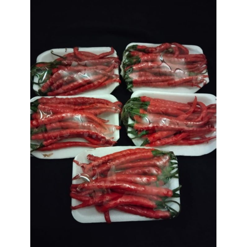 

Cabai Merah Keriting
