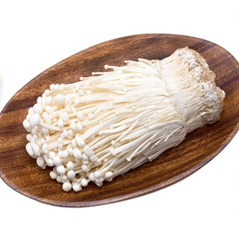 

JAMUR ENOKI REGULER