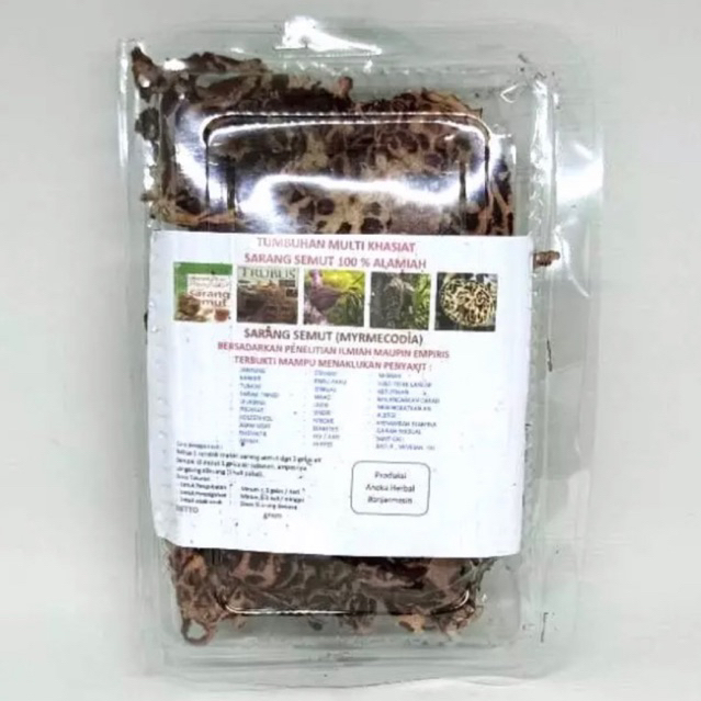 

SERANG SEMUT ASLI PENGOBATAN HERBAL KALIMANTAN SELATAN ORIGINAL 100 %
