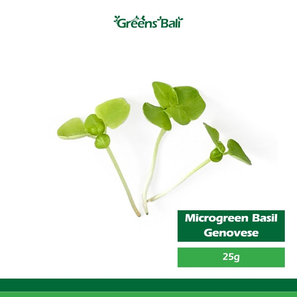 

Greens Bali Basil Genovese Microgreens 25g