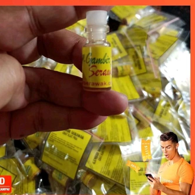 GAMBIR SARAWAK ORIGINAL OIL tahan lama