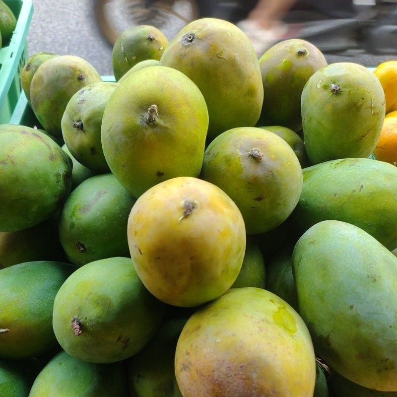 

Mangga HR1