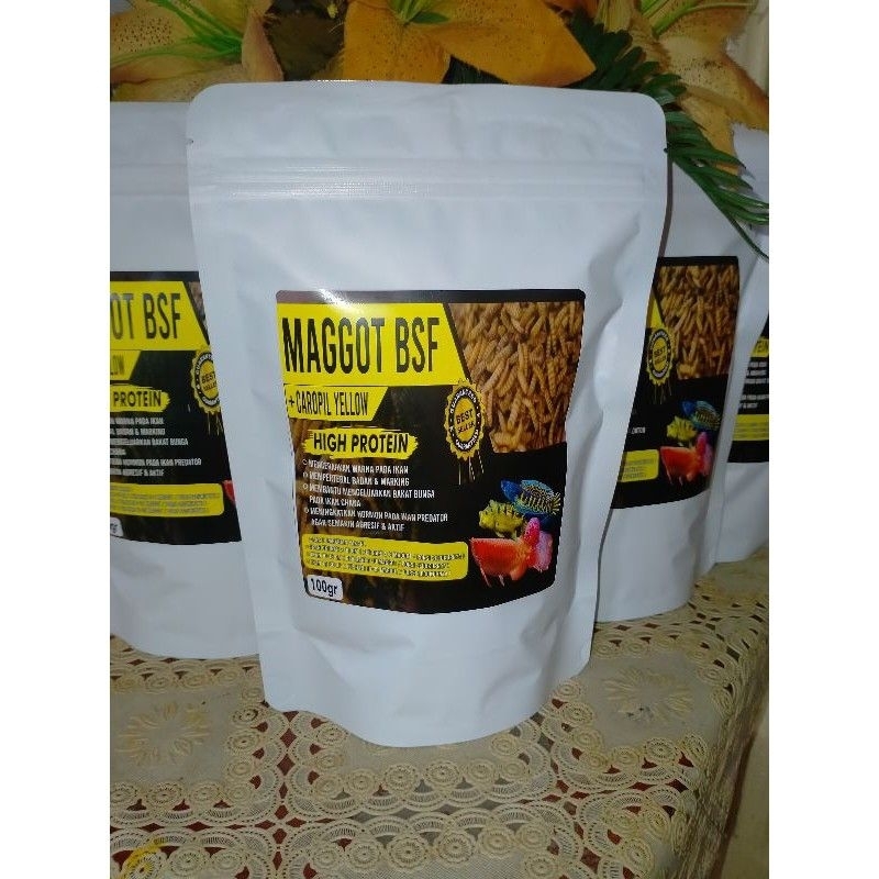 Maggot 100gr Premium Bsf(Pakan Chana,Louhan,Oscar,Koi,Pbass ,Arwana ikan hias)
