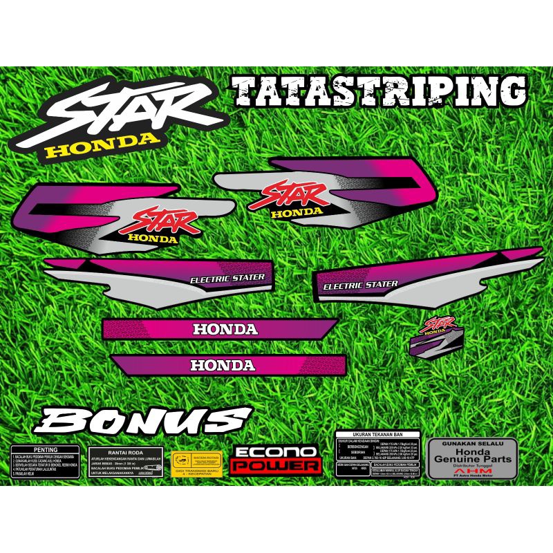 striping astrea star astrea prima