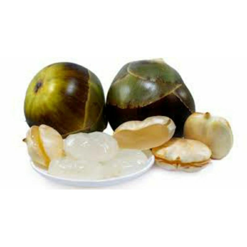 Buah Lontar Siwalan Kupas Fresh