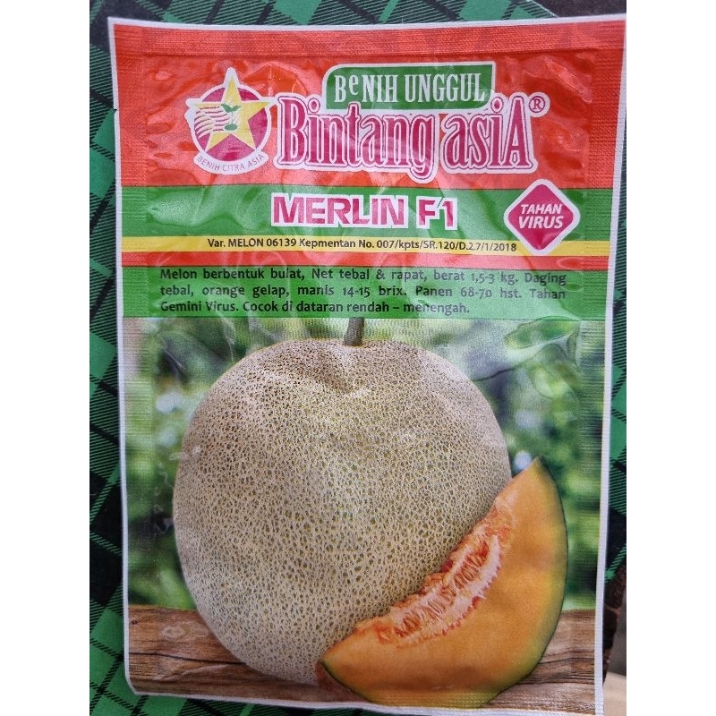 Melon Merlin F1 benih bintang asia bibit