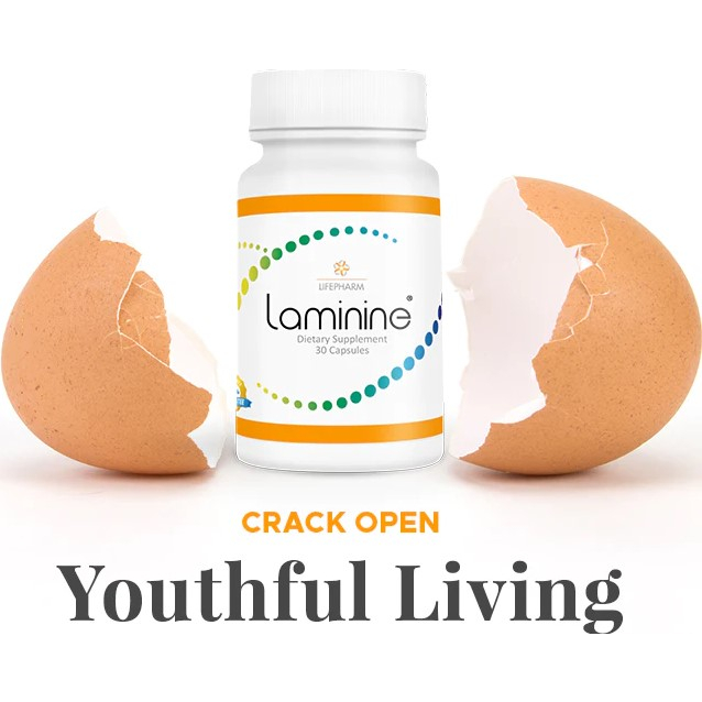 Laminine Laminin Stemcell Lifepharm USA Original