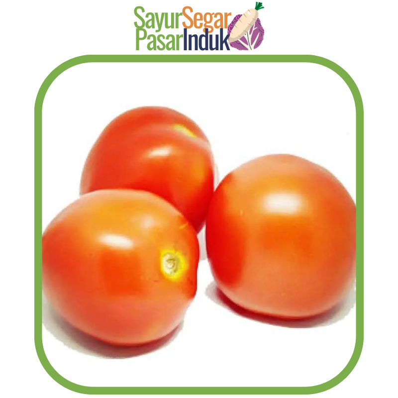 

Tomat Sayur 250 gr Sayur Segar Pasar Induk