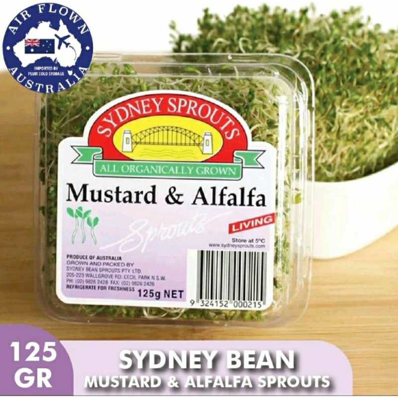 

Mustard & Alfalfa 125gr/pack (Salad+Dressing)