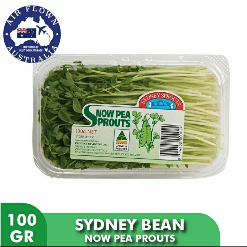 

SnowPea Sprouts Green - Sydney Bean Snow Pea Sprouts Green 100 gr